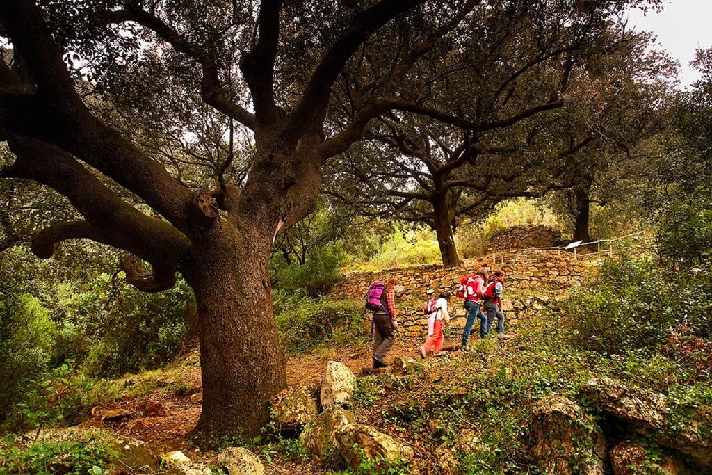 海岛公寓 Sant Carlos de la Ràpita 客房 照片