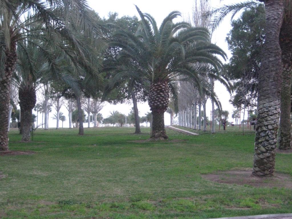 海岛公寓 Sant Carlos de la Ràpita 客房 照片