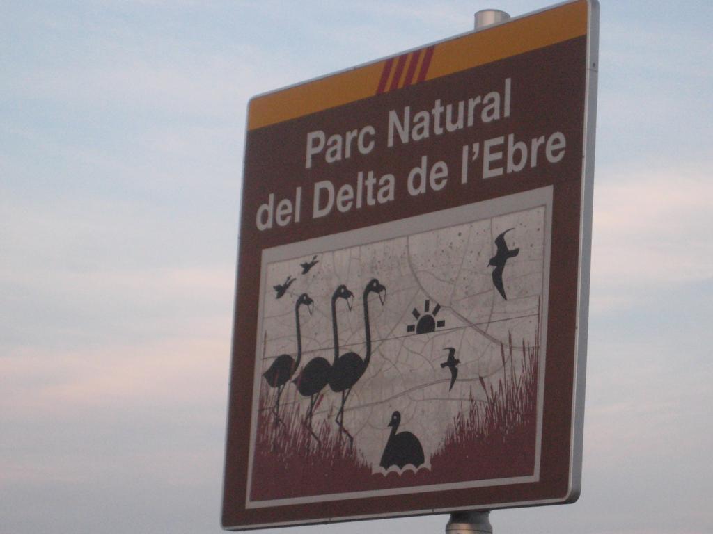 海岛公寓 Sant Carlos de la Ràpita 客房 照片